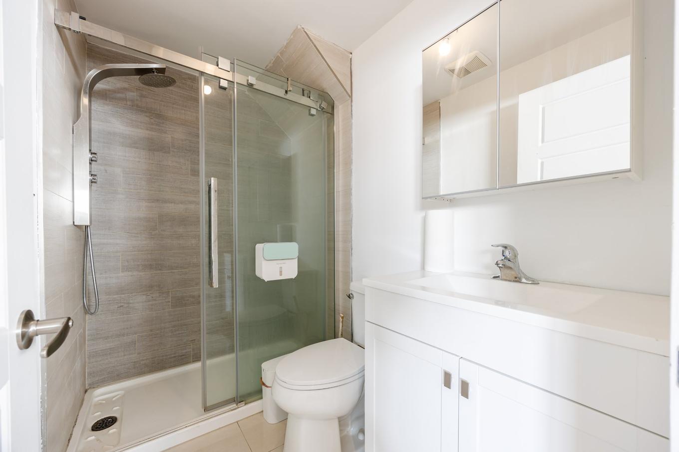 Salle de bains - 407 Ch. Des Prairies, Brossard, QC - Indoor Photo Showing Bathroom