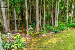 Gorgeous private half acre yard -