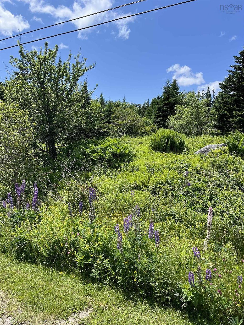 2584 West Ship Harbour Road, Owls Head Harbour, NS