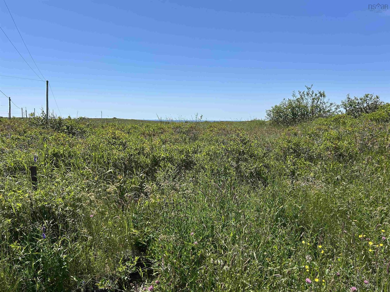 Christie'S Cove Road, West Baccaro, NS