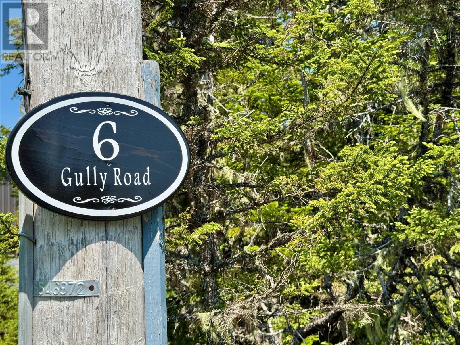 19 Hale'S Mill Road, Hodgewater Line, Makinsons, NL - Outdoor