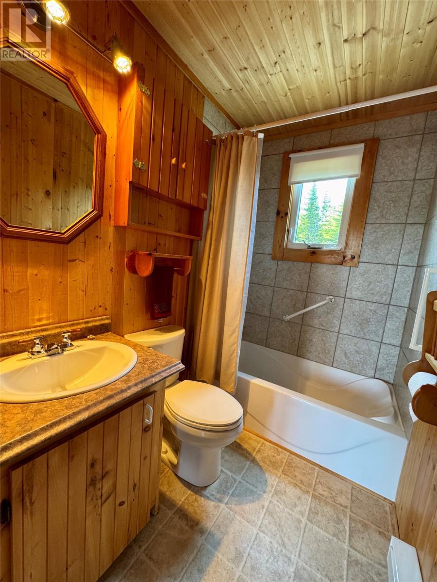 19 Hale'S Mill Road, Hodgewater Line, Makinsons, NL - Indoor Photo Showing Bathroom