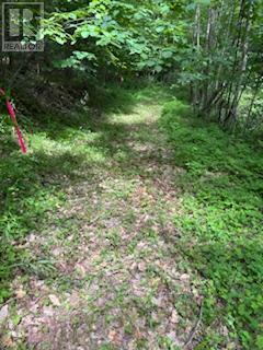 1085 Old Mine Road, Frontenac (Frontenac South), ON