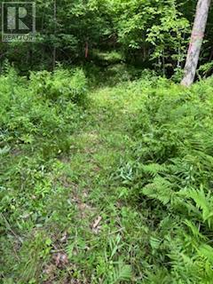 1085 Old Mine Road, Frontenac (Frontenac South), ON