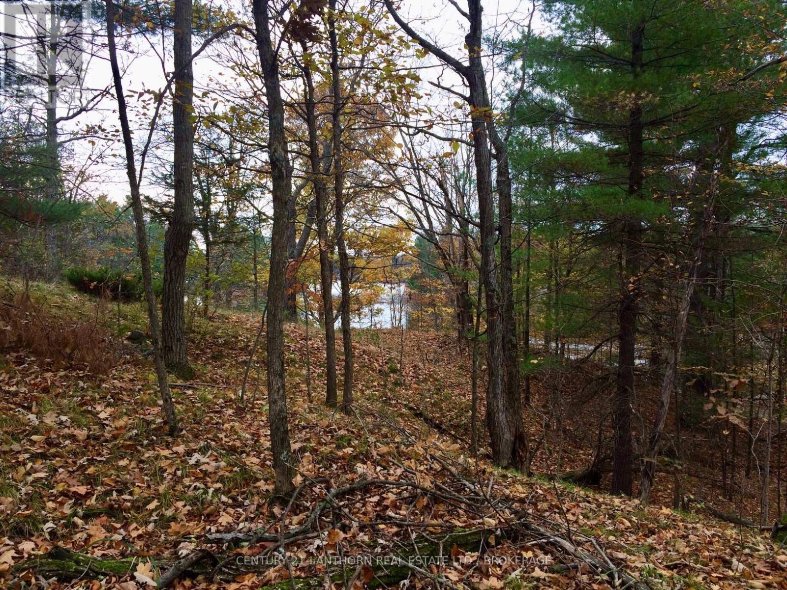 1085 Old Mine Road, Frontenac (Frontenac South), ON