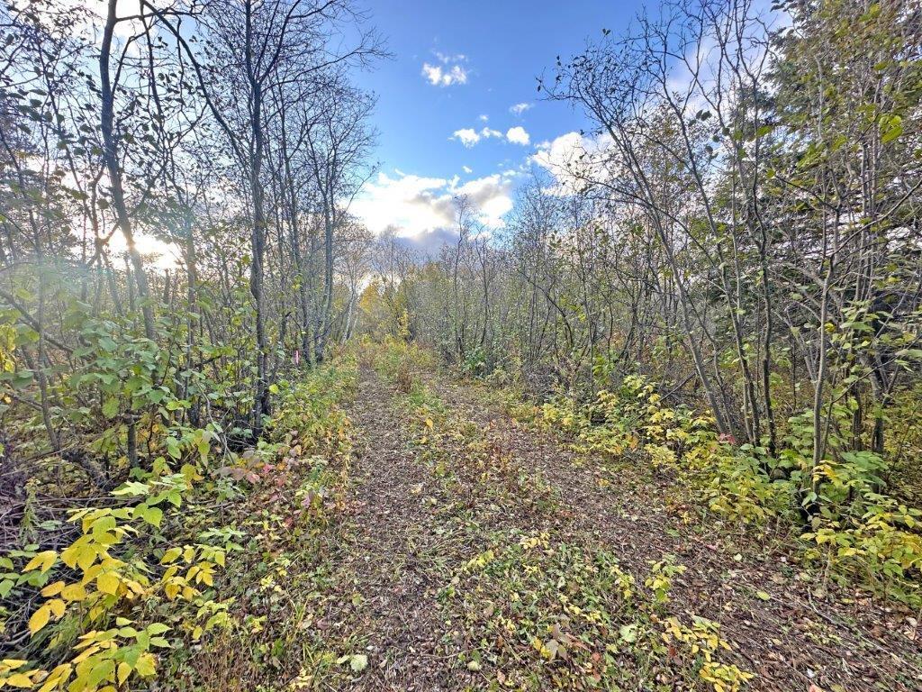 Pcl 19303 Sovereign Road, Kakabeka Falls, ON