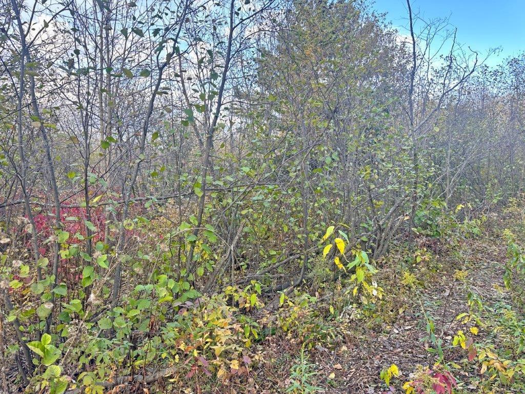 Pcl 19303 Sovereign Road, Kakabeka Falls, ON