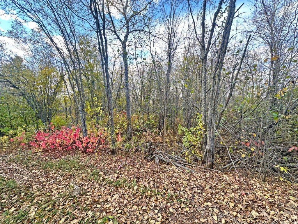 Pcl 19303 Sovereign Road, Kakabeka Falls, ON