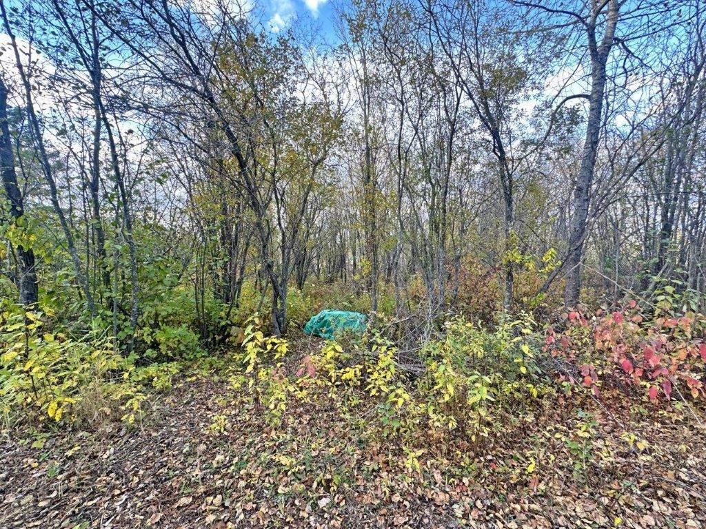 Pcl 19303 Sovereign Road, Kakabeka Falls, ON