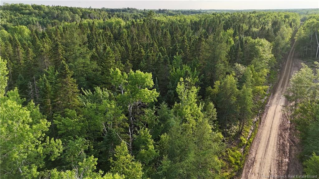 Lot 1 Murray Road, Smiths Corner, NB
