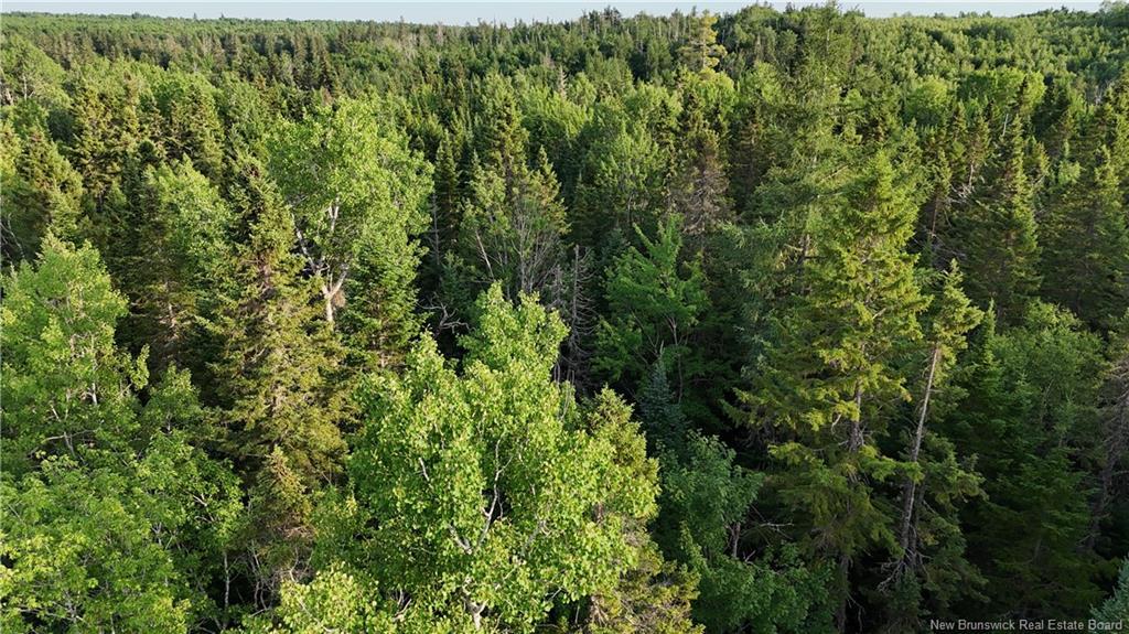 Lot 1 Murray Road, Smiths Corner, NB