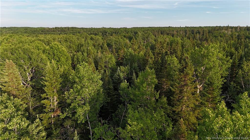 Lot 1 Murray Road, Smiths Corner, NB