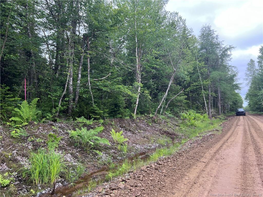Lot 1 Murray Road, Smiths Corner, NB