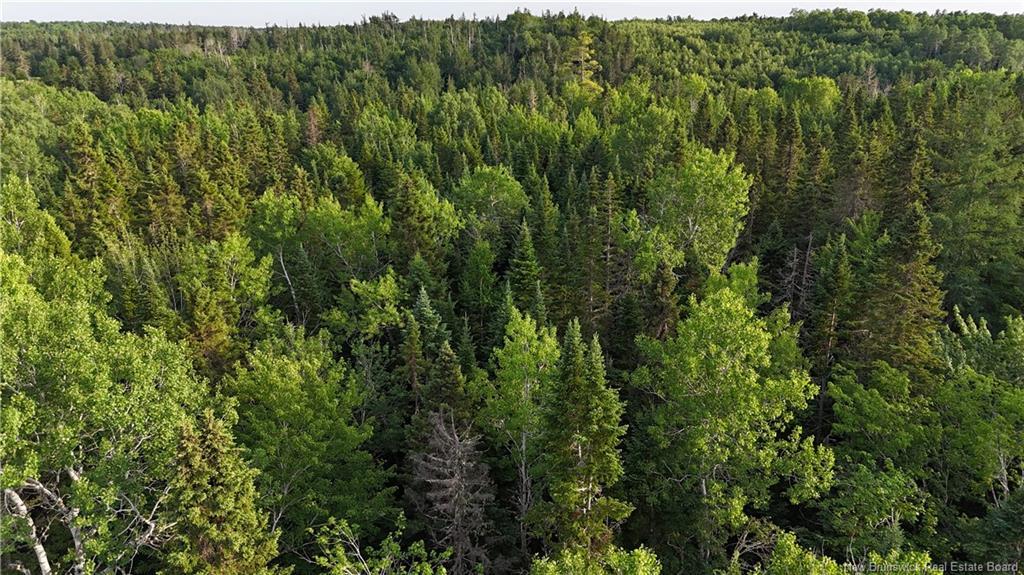 Lot 1 Murray Road, Smiths Corner, NB