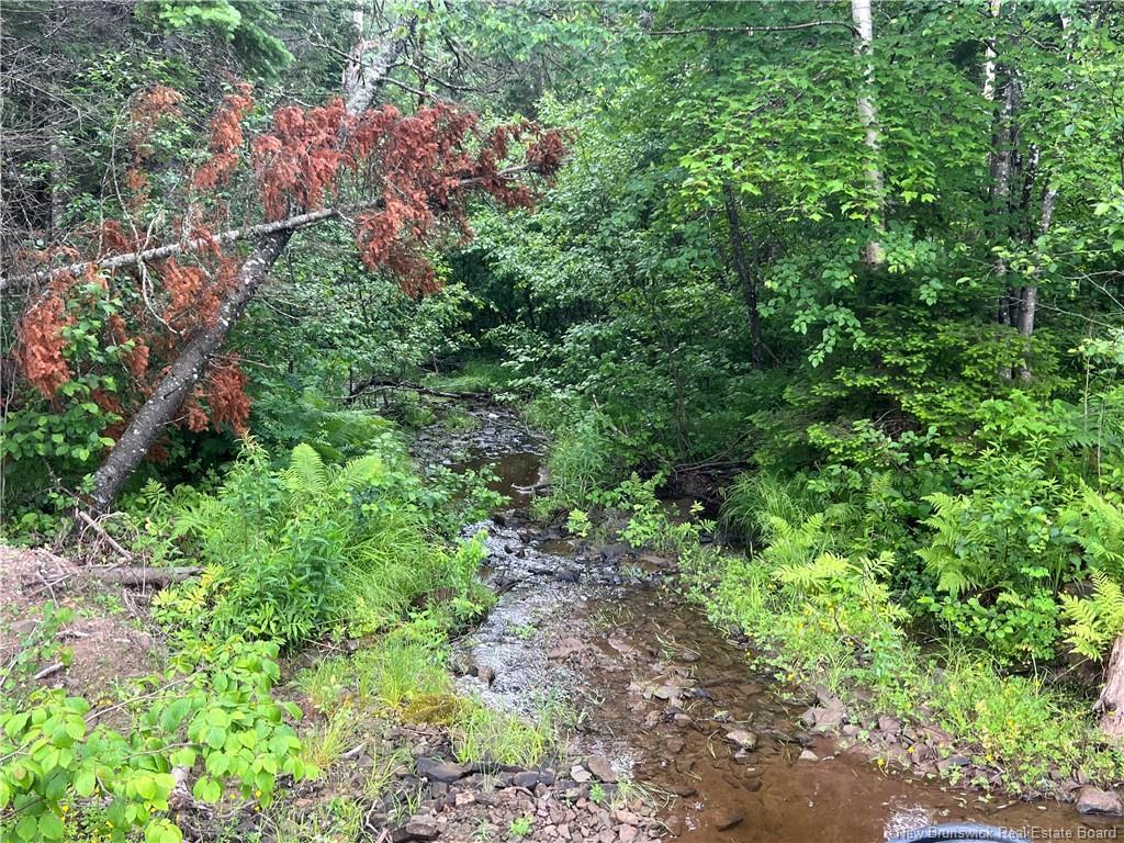 Lot 3 Murray Rd, Smiths Corner, NB