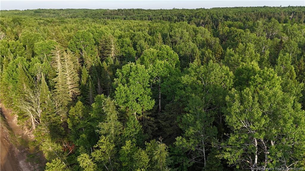 Lot 3 Murray Rd, Smiths Corner, NB