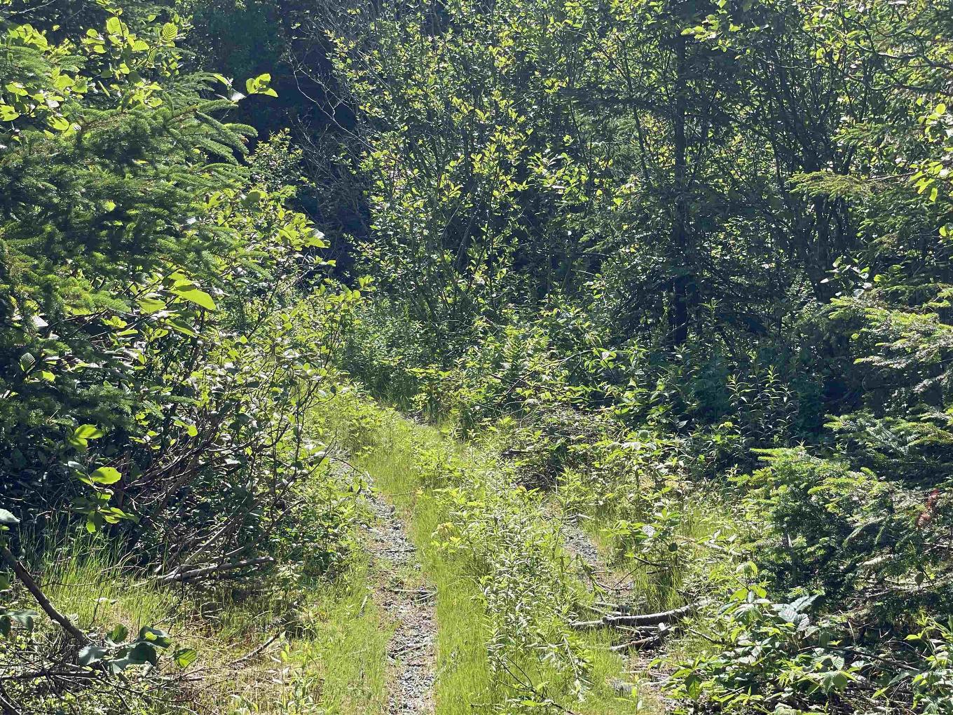 92Ac Main A Dieu Road, Catalone, NS