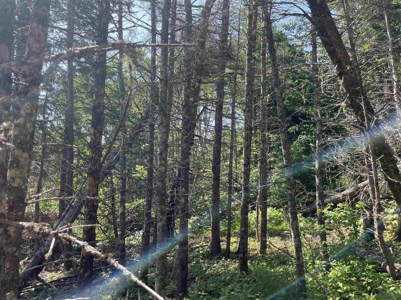 92Ac Main A Dieu Road, Catalone, NS