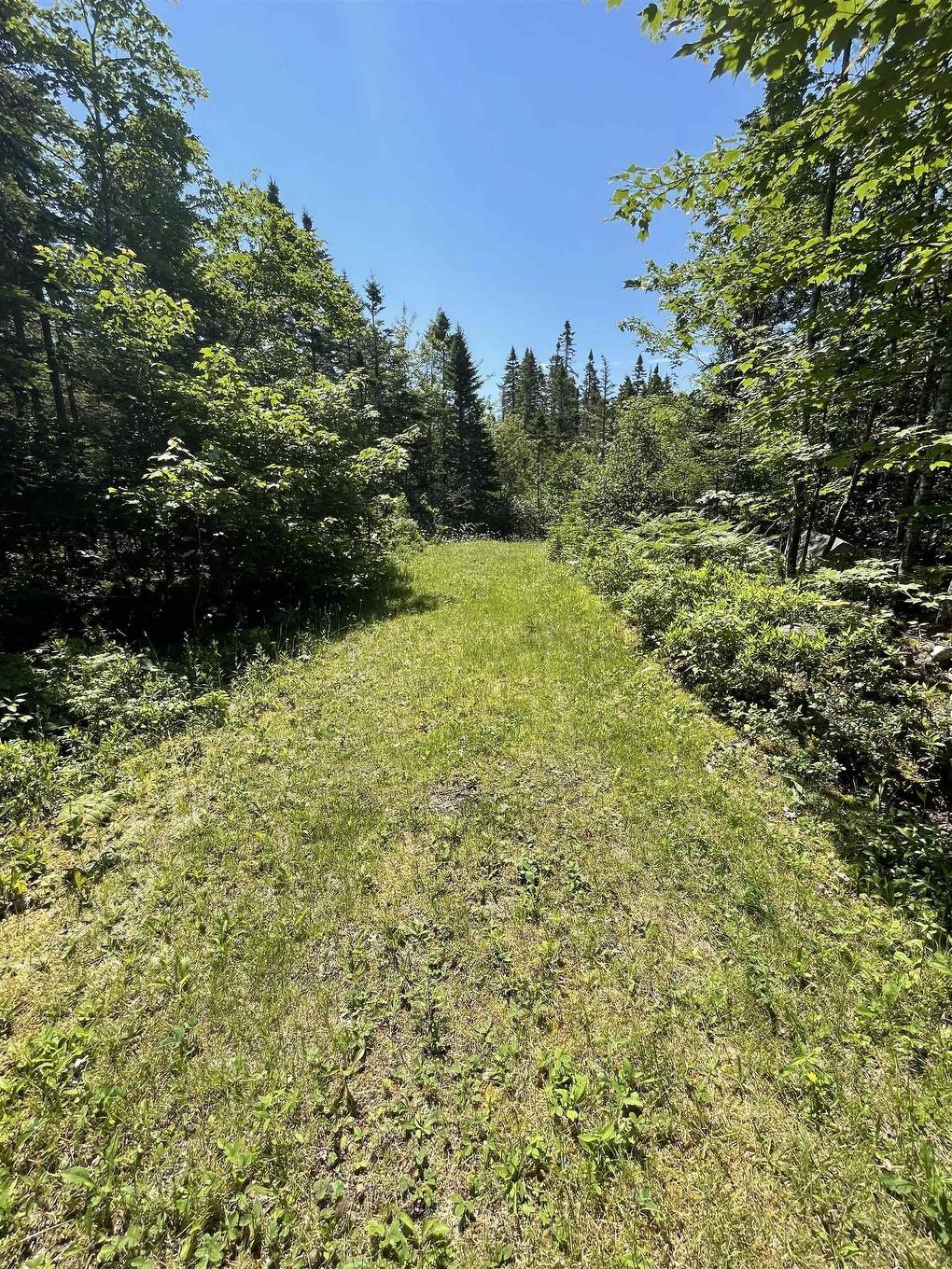 Lot 5F Highway 329, East River, NS