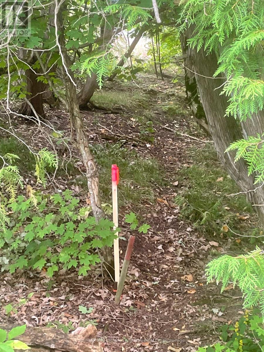 00 Adams-Cummings Road, Trent Lakes, ON