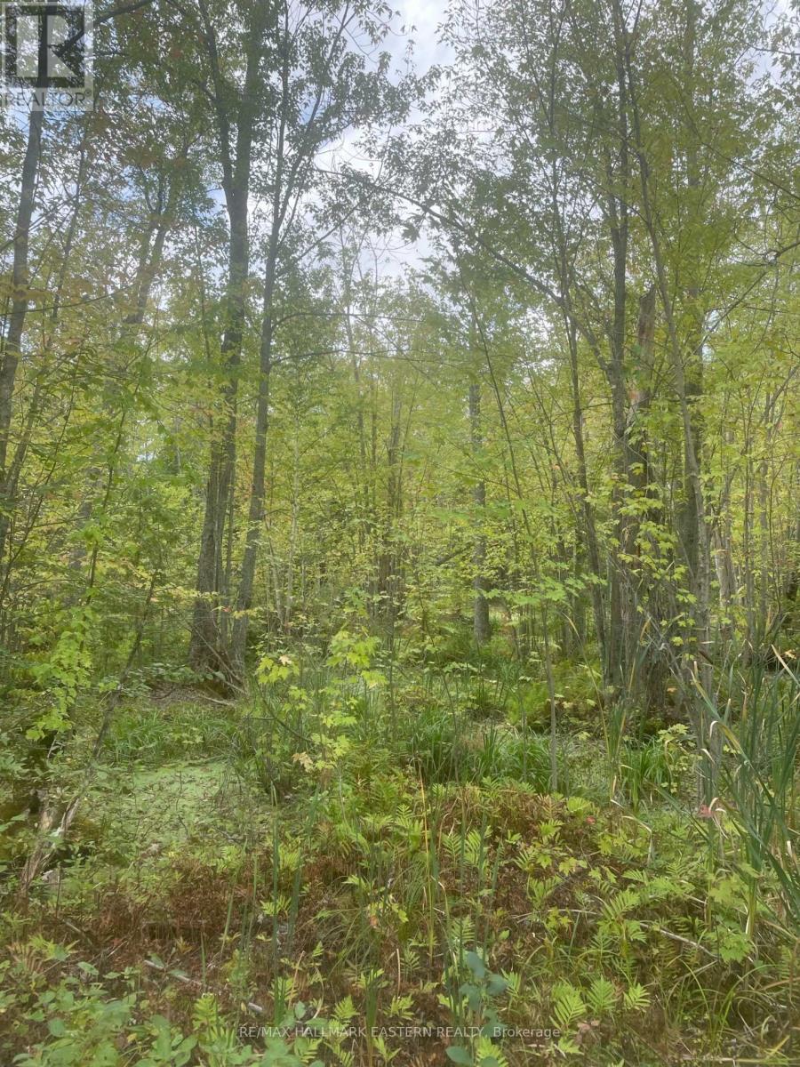 00 Adams-Cummings Road, Trent Lakes, ON