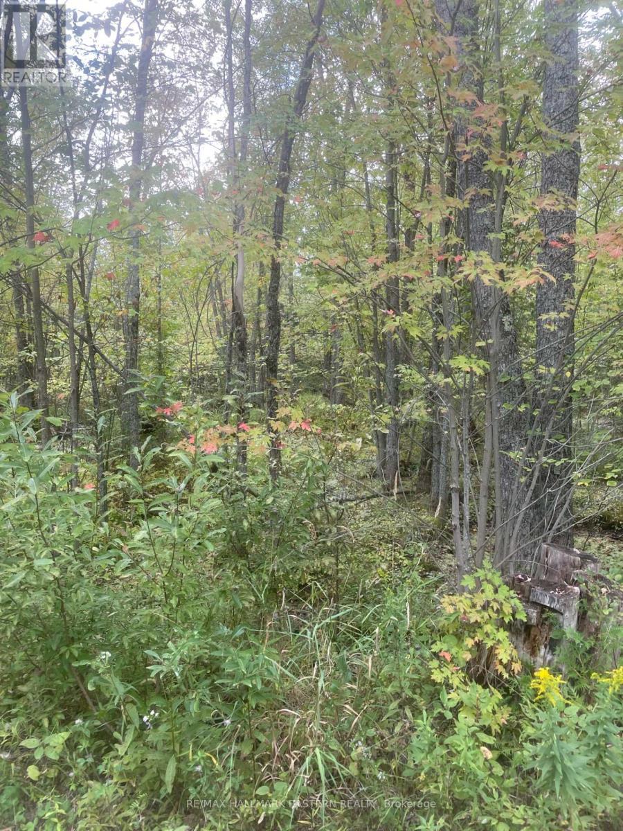 00 Adams-Cummings Road, Trent Lakes, ON