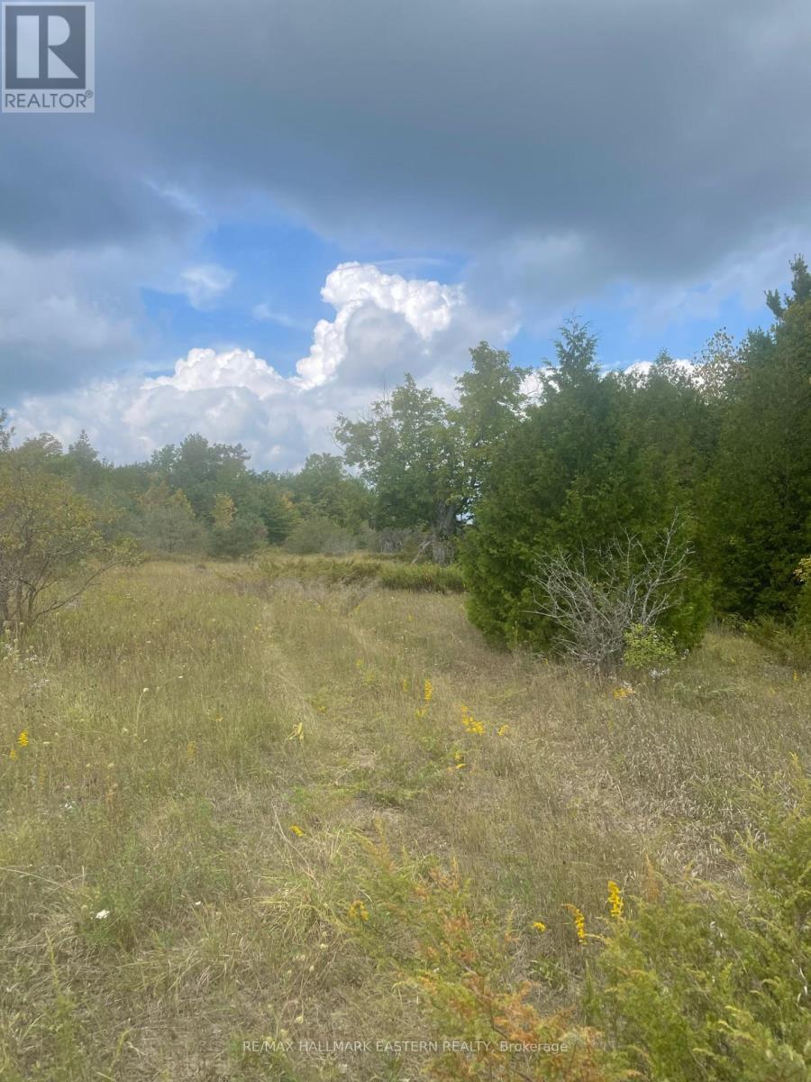 00 Adams-Cummings Road, Trent Lakes, ON