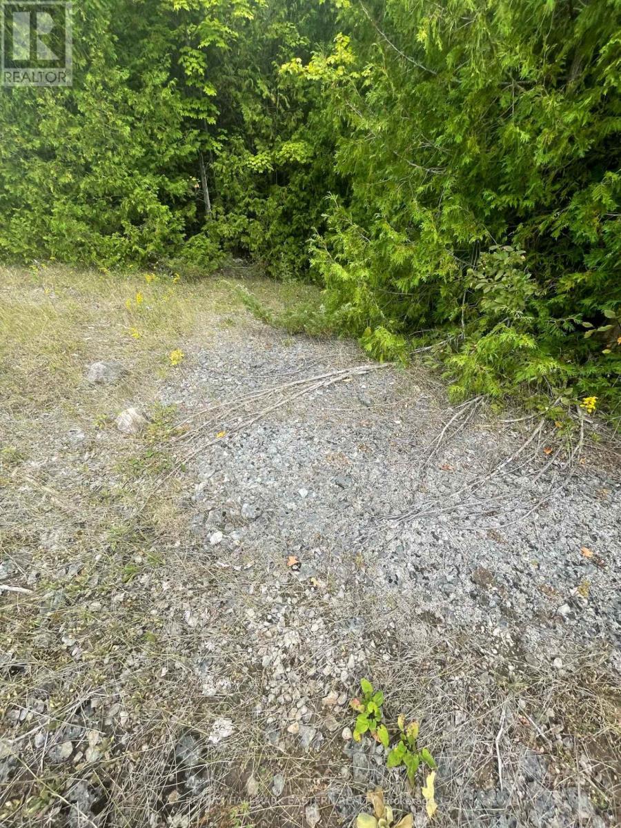 00 Adams-Cummings Road, Trent Lakes, ON