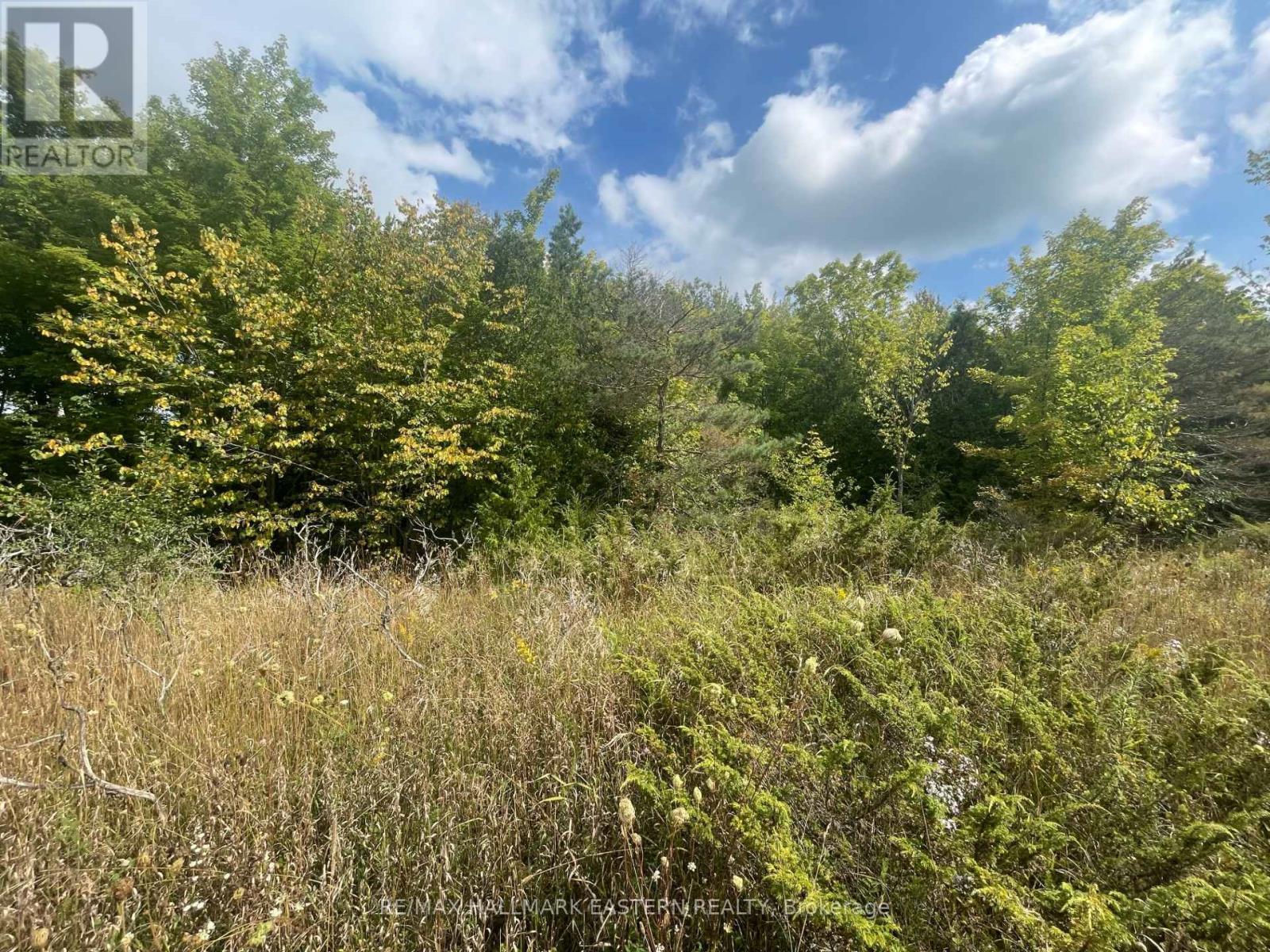 00 Adams-Cummings Road, Trent Lakes, ON