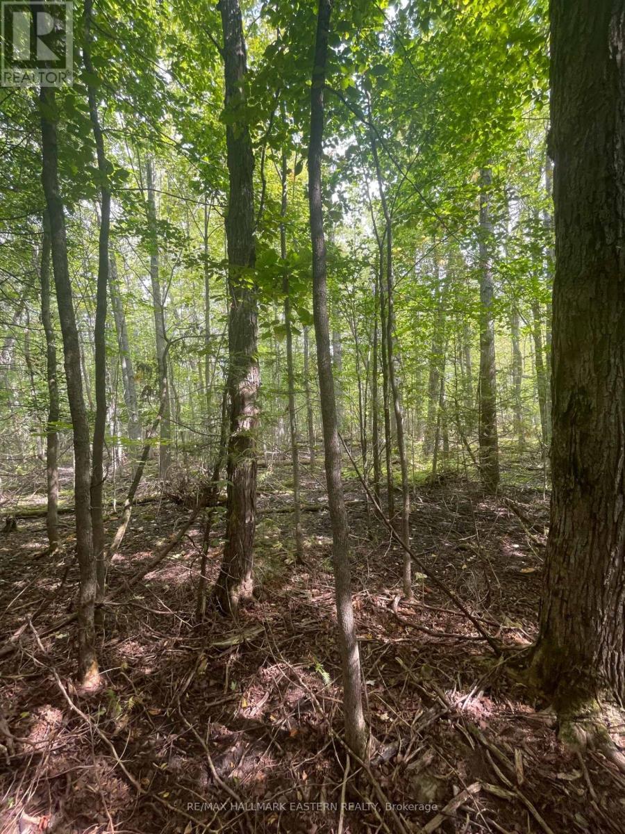 00 Adams-Cummings Road, Trent Lakes, ON