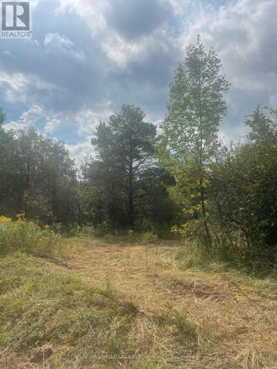 00 Adams-Cummings Road, Trent Lakes, ON