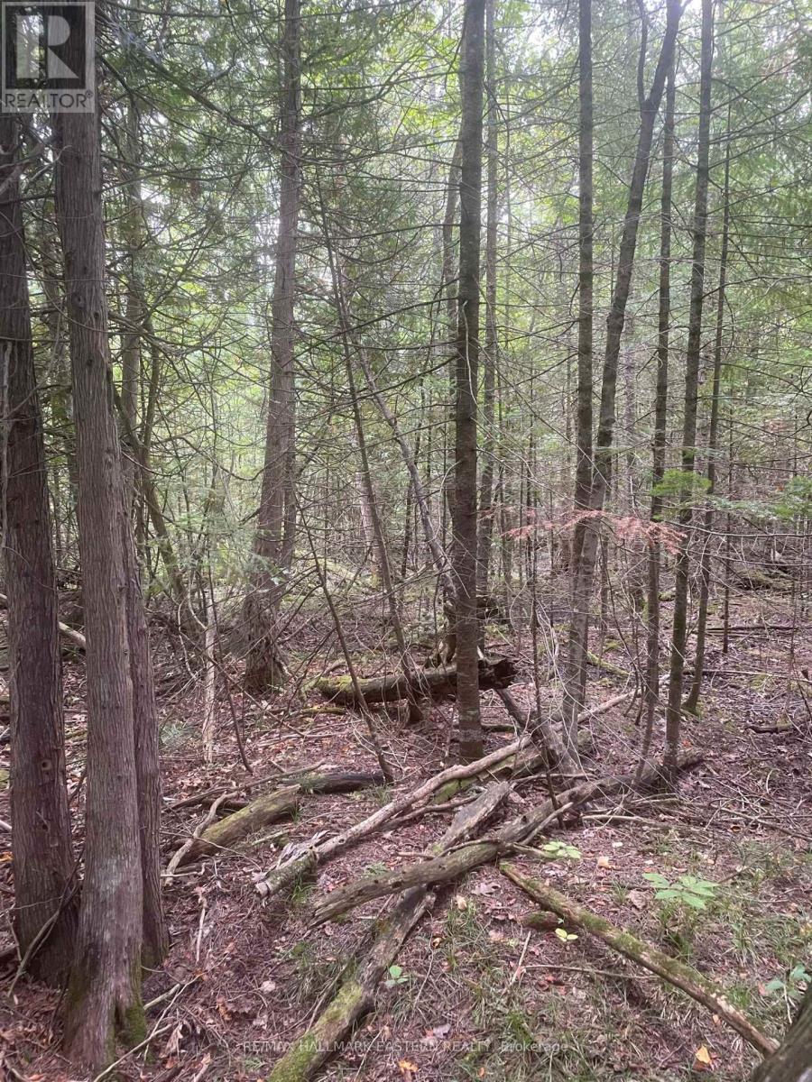 00 Adams-Cummings Road, Trent Lakes, ON