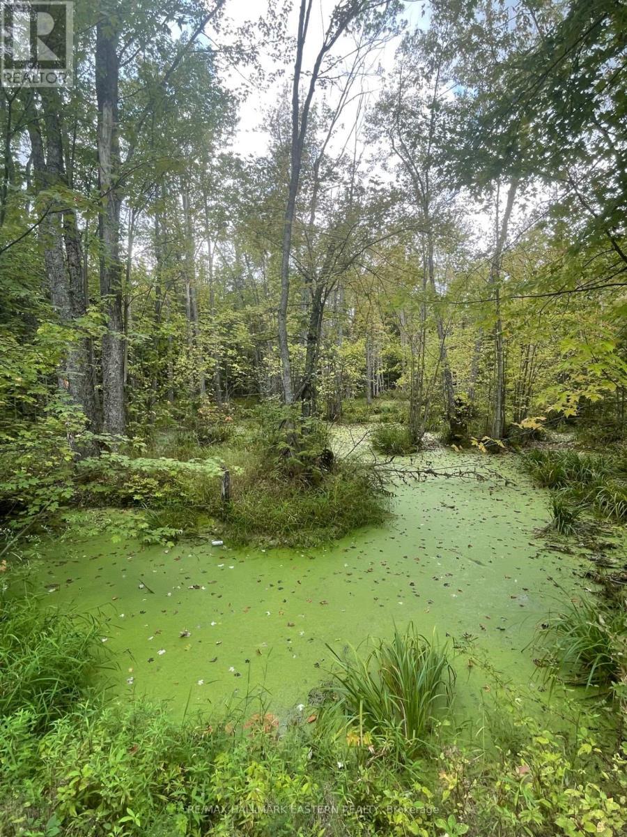 00 Adams-Cummings Road, Trent Lakes, ON