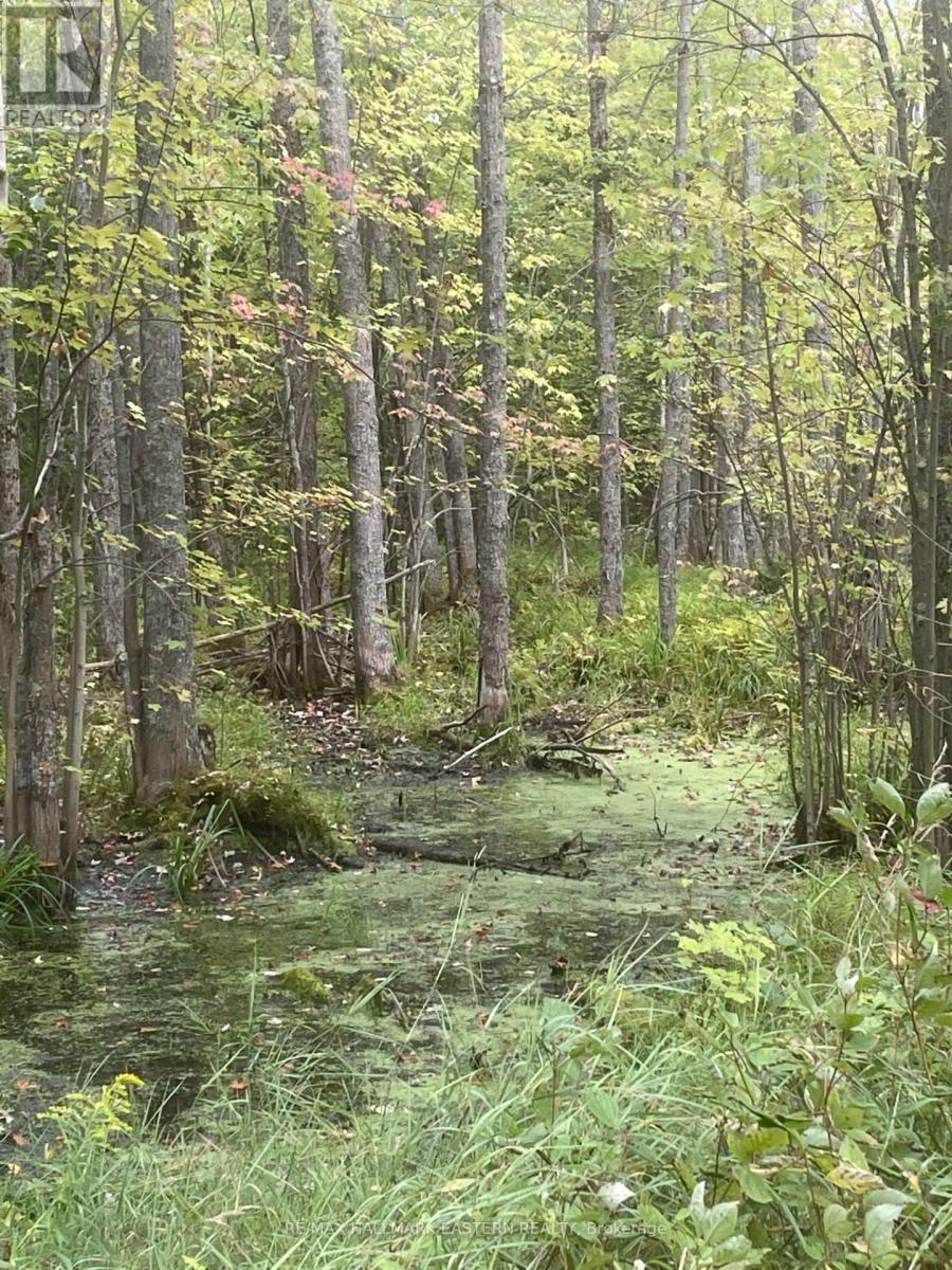 00 Adams-Cummings Road, Trent Lakes, ON