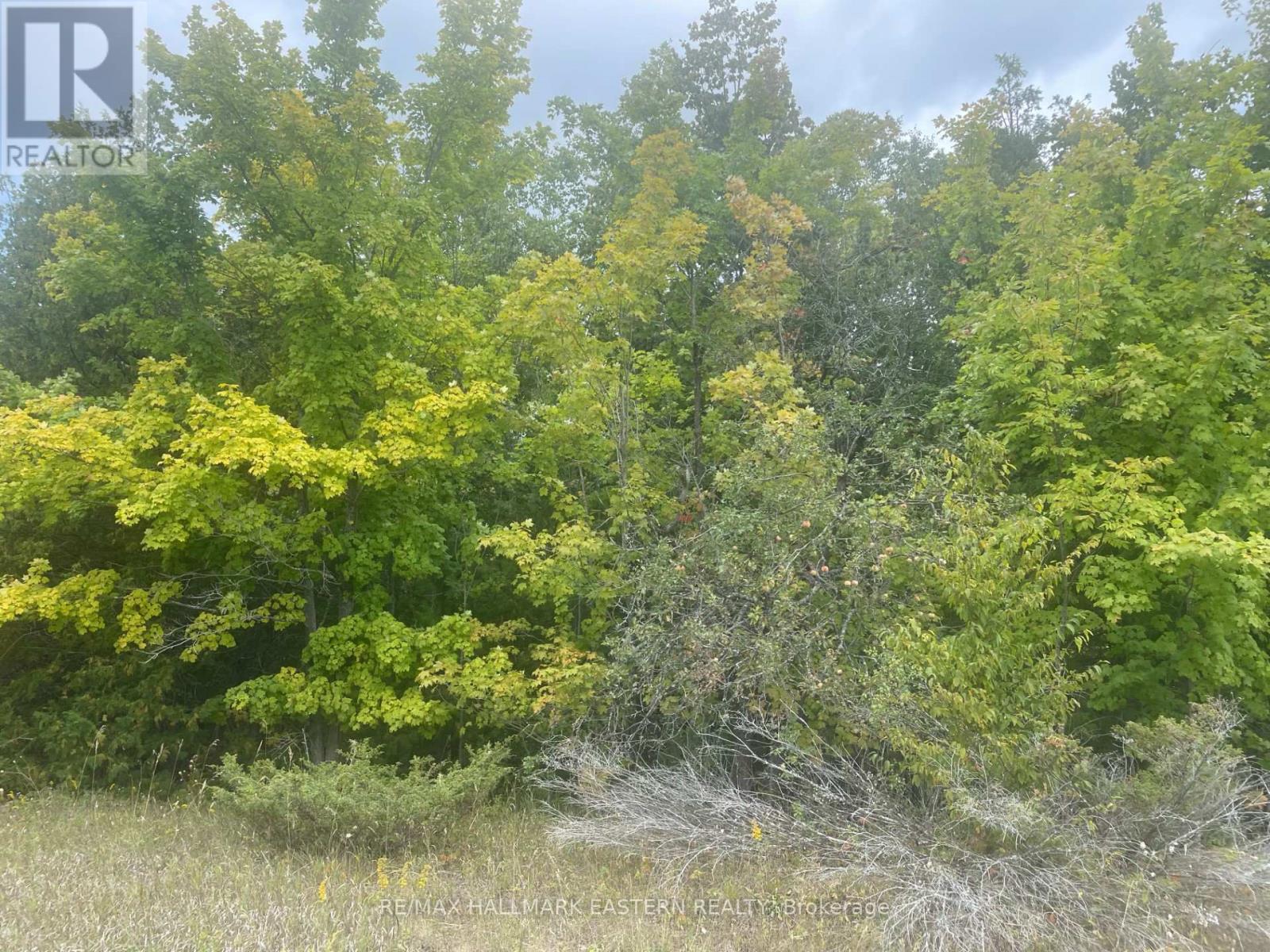 00 Adams-Cummings Road, Trent Lakes, ON