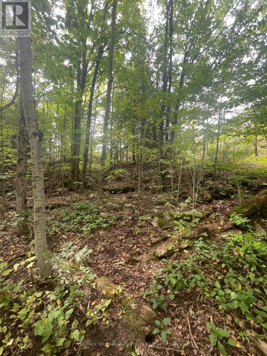 00 Adams-Cummings Road, Trent Lakes, ON