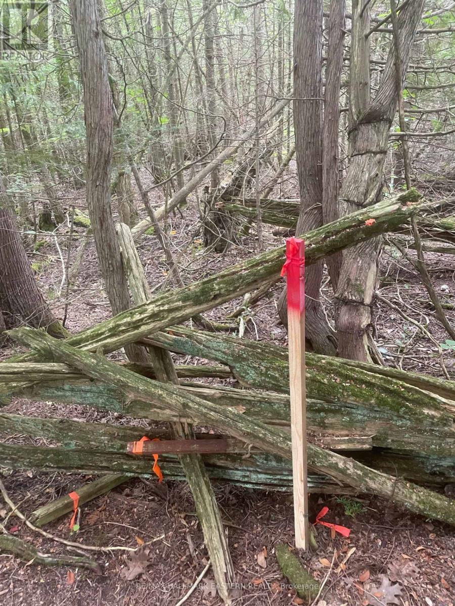 00 Adams-Cummings Road, Trent Lakes, ON