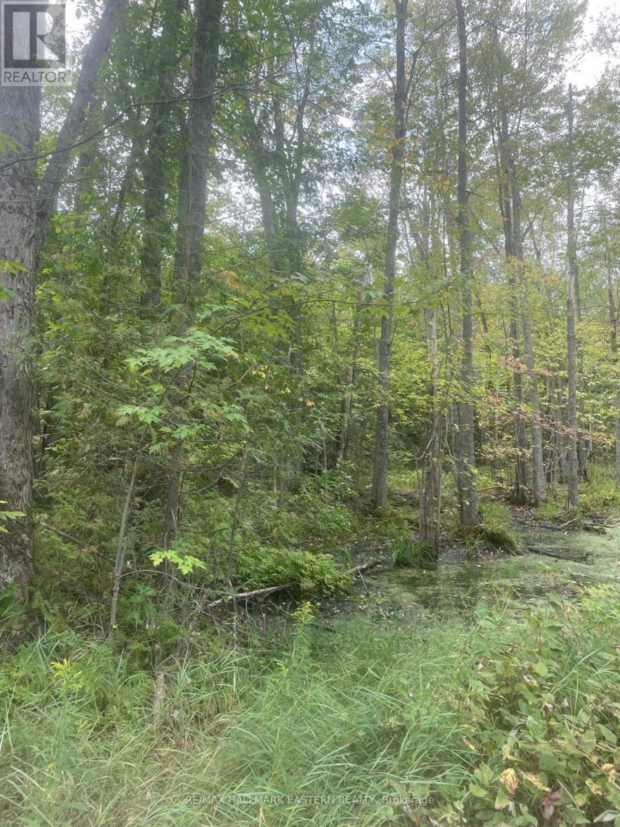 00 Adams-Cummings Road, Trent Lakes, ON