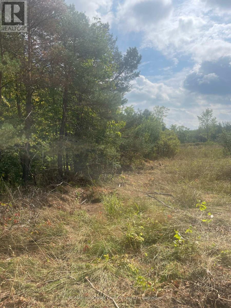 00 Adams-Cummings Road, Trent Lakes, ON