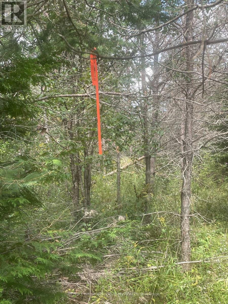 00 Adams-Cummings Road, Trent Lakes, ON