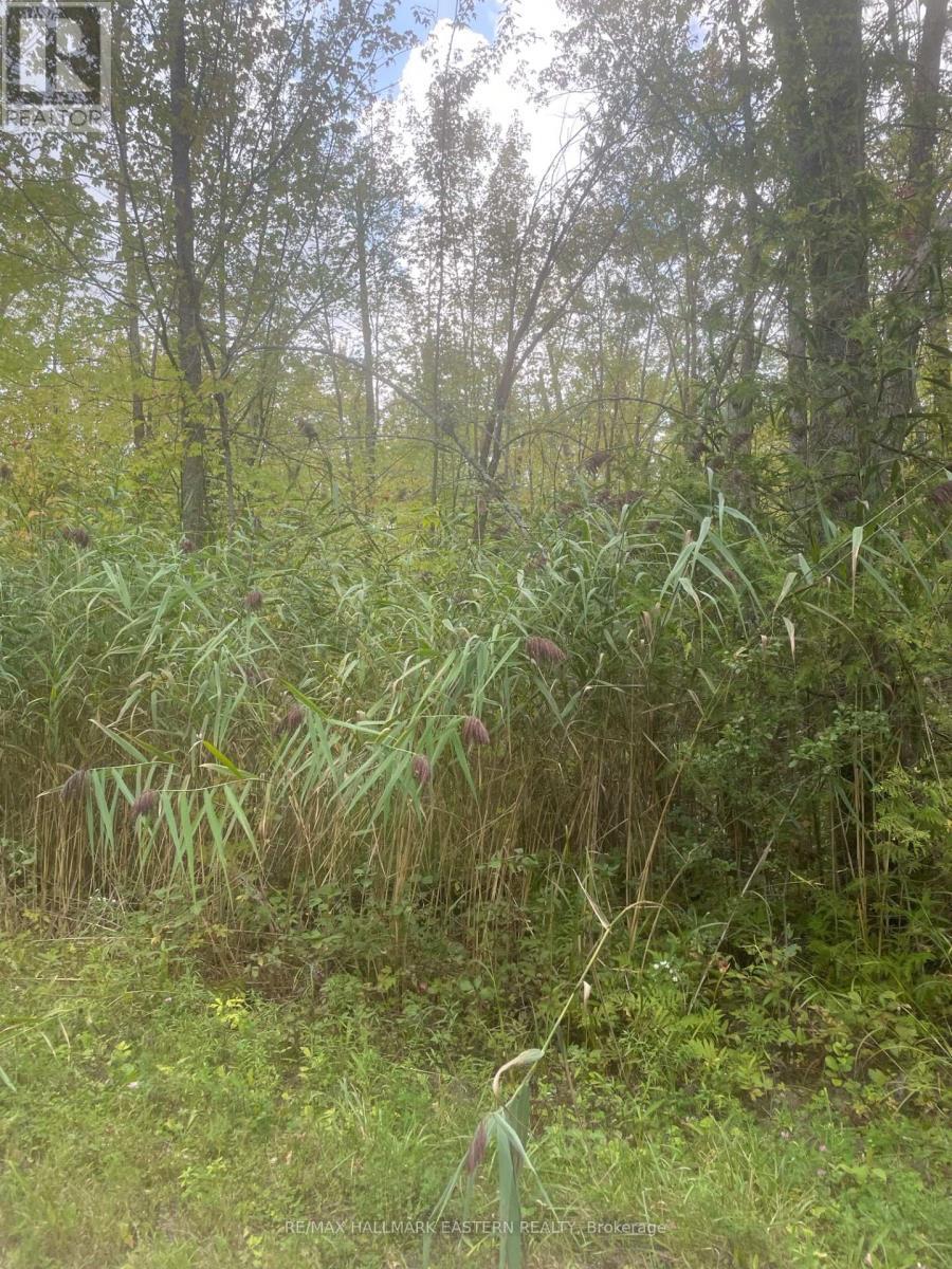 00 Adams-Cummings Road, Trent Lakes, ON