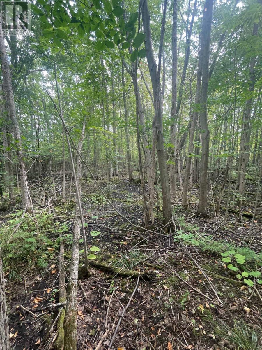 00 Adams-Cummings Road, Trent Lakes, ON