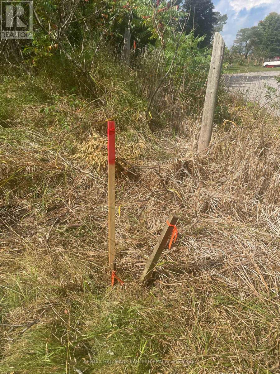 00 Adams-Cummings Road, Trent Lakes, ON