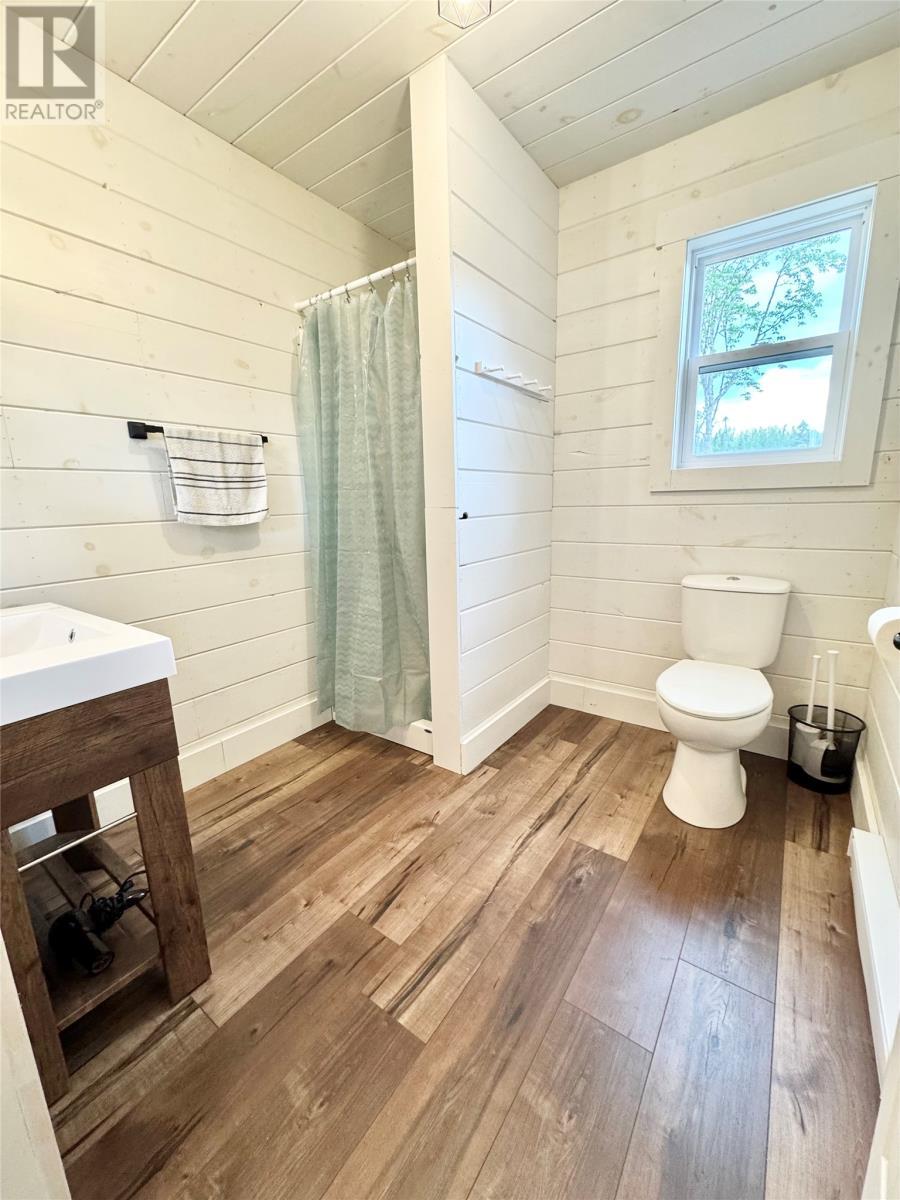 0 Pikes Pond, Gander, NL - Indoor Photo Showing Bathroom