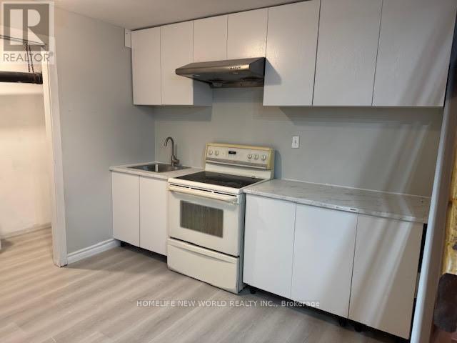 basement kitchen - 3025 Moffat Road, Clarington, ON