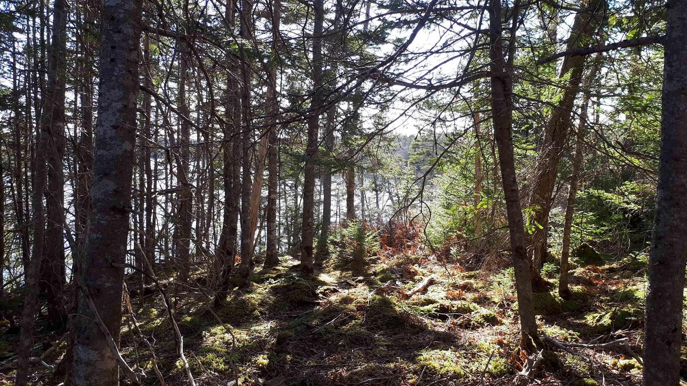 Lot 1A Birch Crescent, Cape George Estates, NS