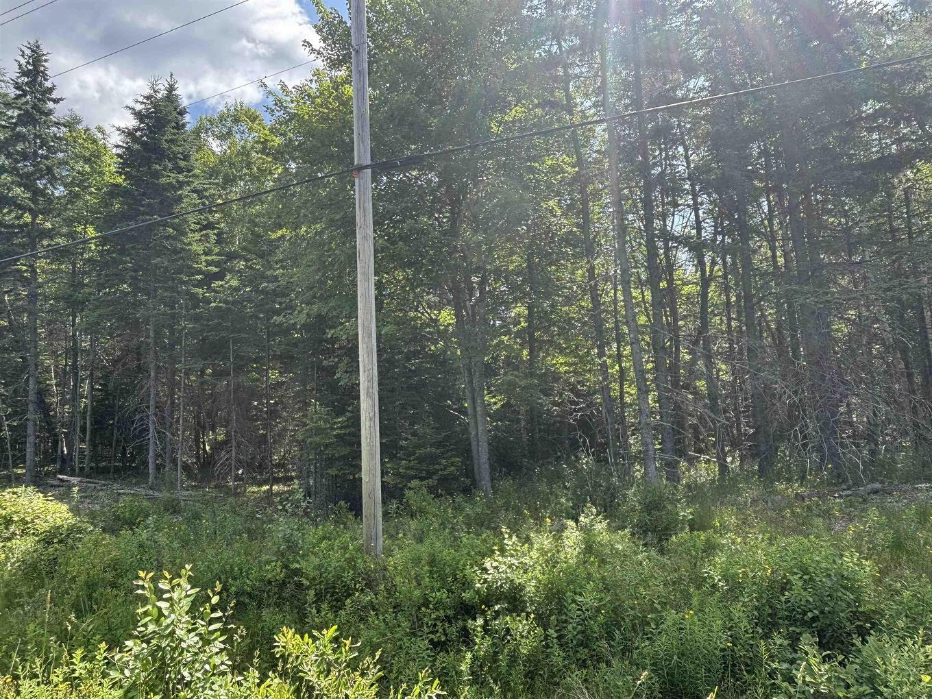 Lot Beechmont Road, Beechmont, NS