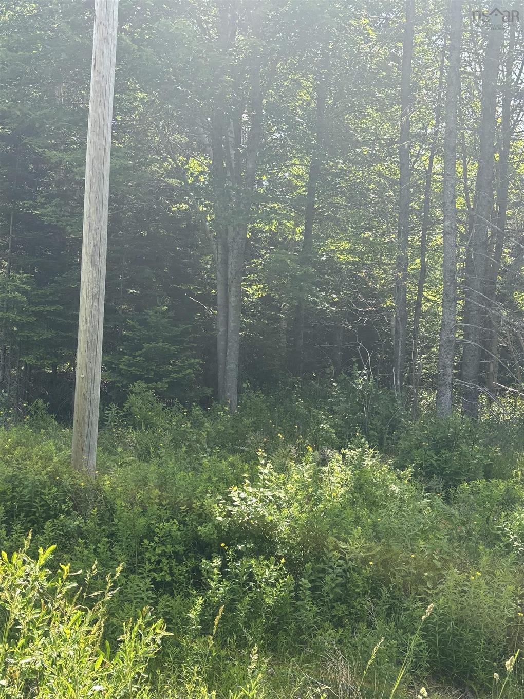 Lot Beechmont Road, Beechmont, NS