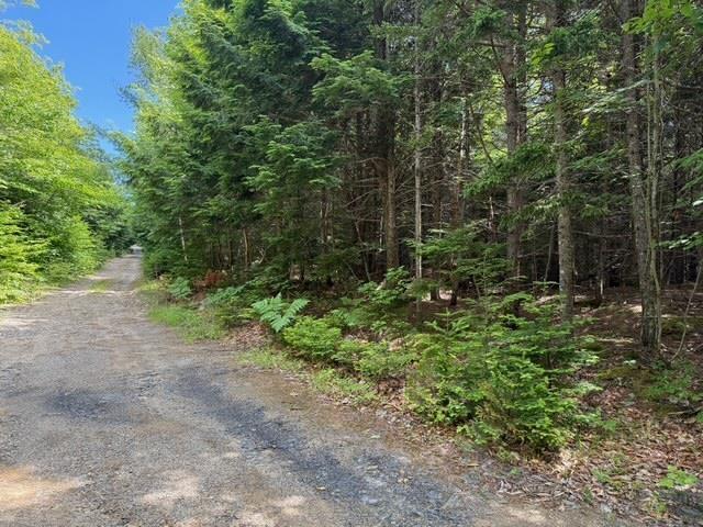 Lot 104 Arenburg Road, Buckfield, NS