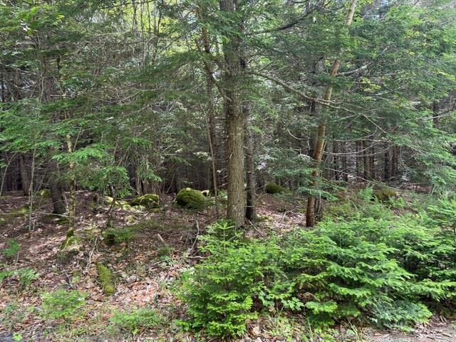 Lot 104 Arenburg Road, Buckfield, NS